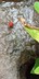 

September 24 2018 23:41:30:哥斯达黎加瀑布公园
